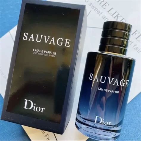 savsge dior|what does dior sauvage smell like.